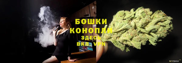 ALPHA-PVP Надым