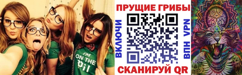магазин продажи наркотиков  Искитим  Псилоцибиновые грибы Cubensis 