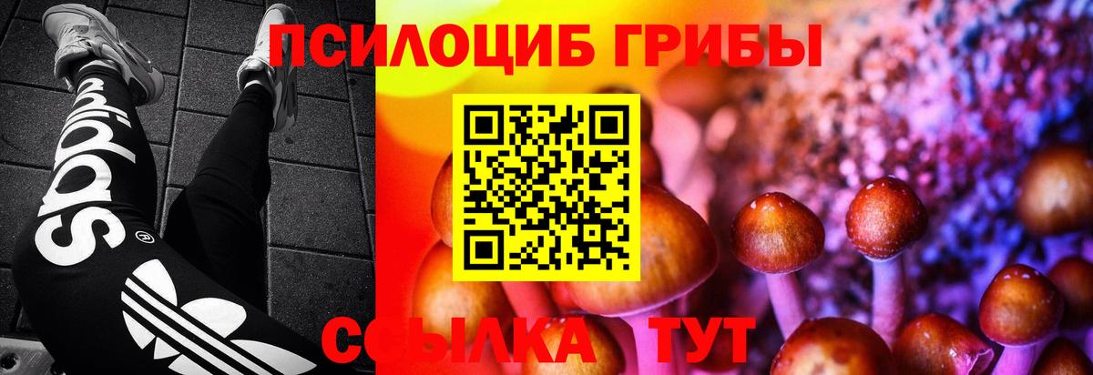 Псилоцибиновые грибы ЛСД Искитим