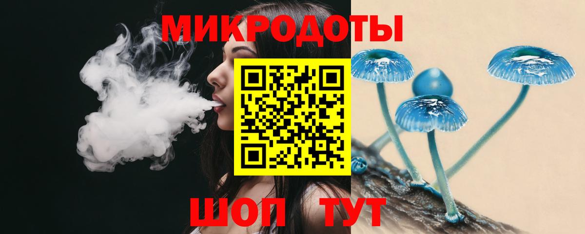 Галлюциногенные грибы Psilocybe Искитим